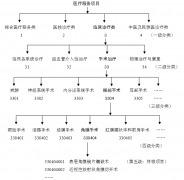 荆门市医疗服务项目指导价格