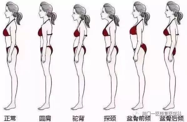 1547745931308159.jpg 图片