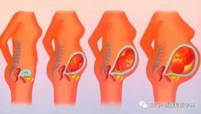 1547745914215817.jpg 图片