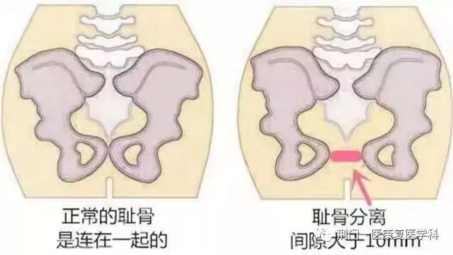 1547745464948386.jpg 图片
